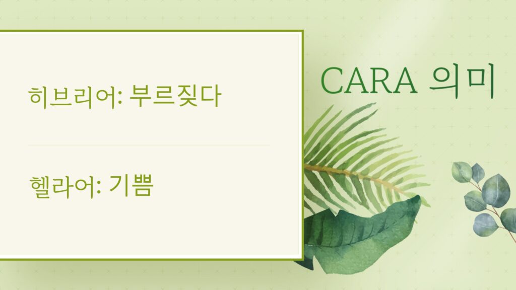 “Cara” 목요 여성 기도회 여름 특강