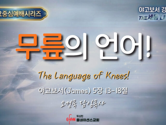 무릎의 언어!
